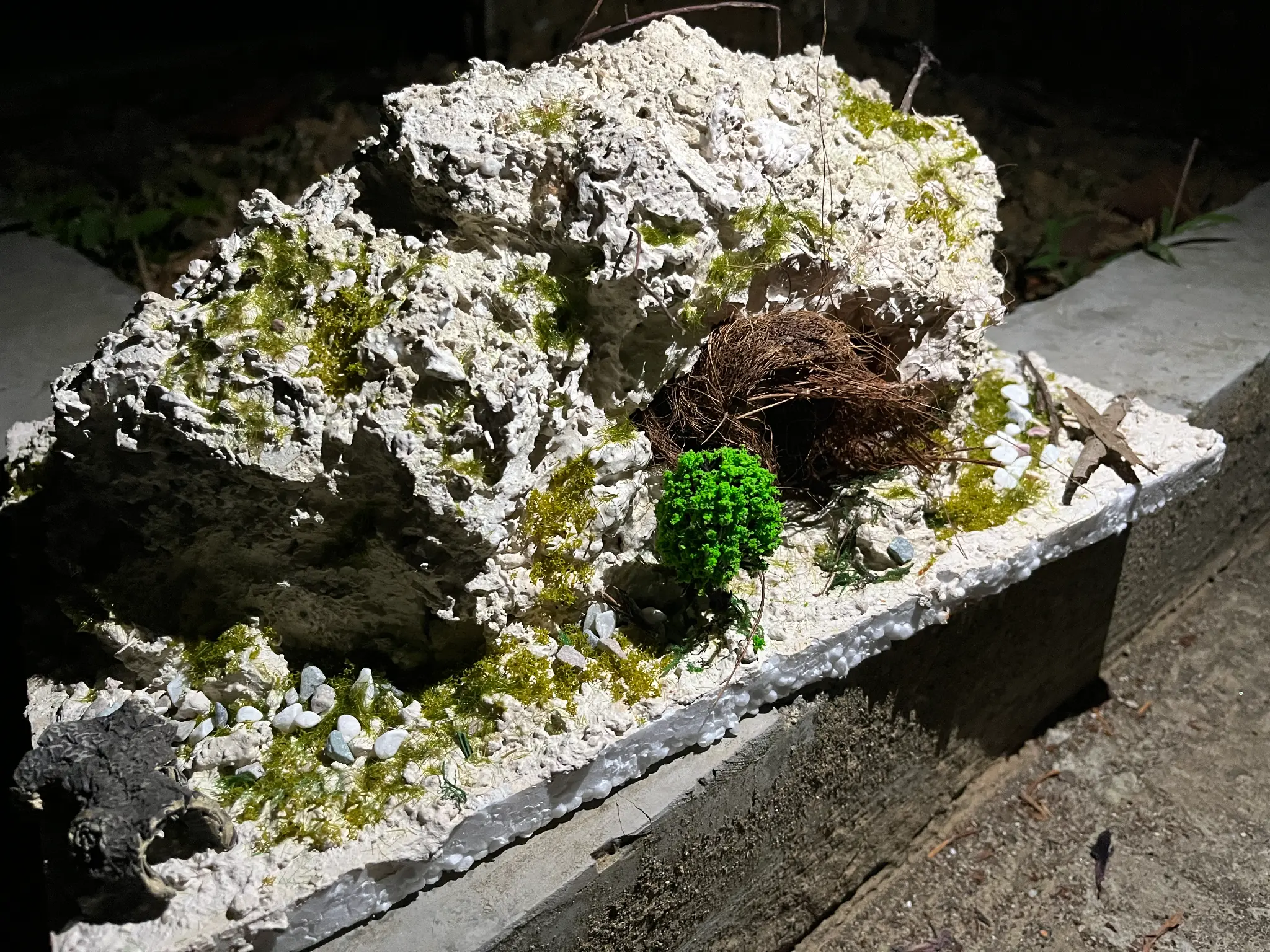 Terrain study with moss and pebbles